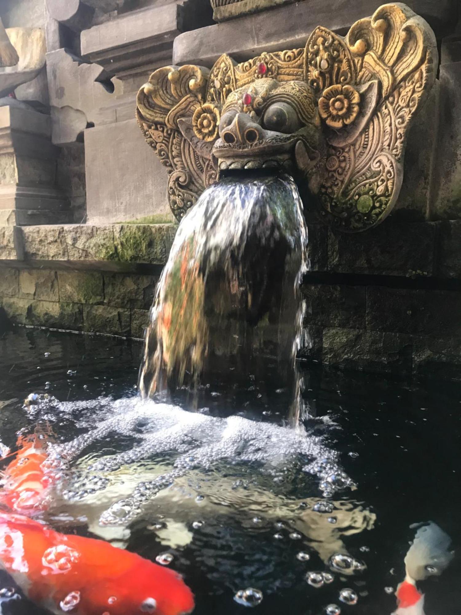 Banana Home Stay Ubud Kültér fotó