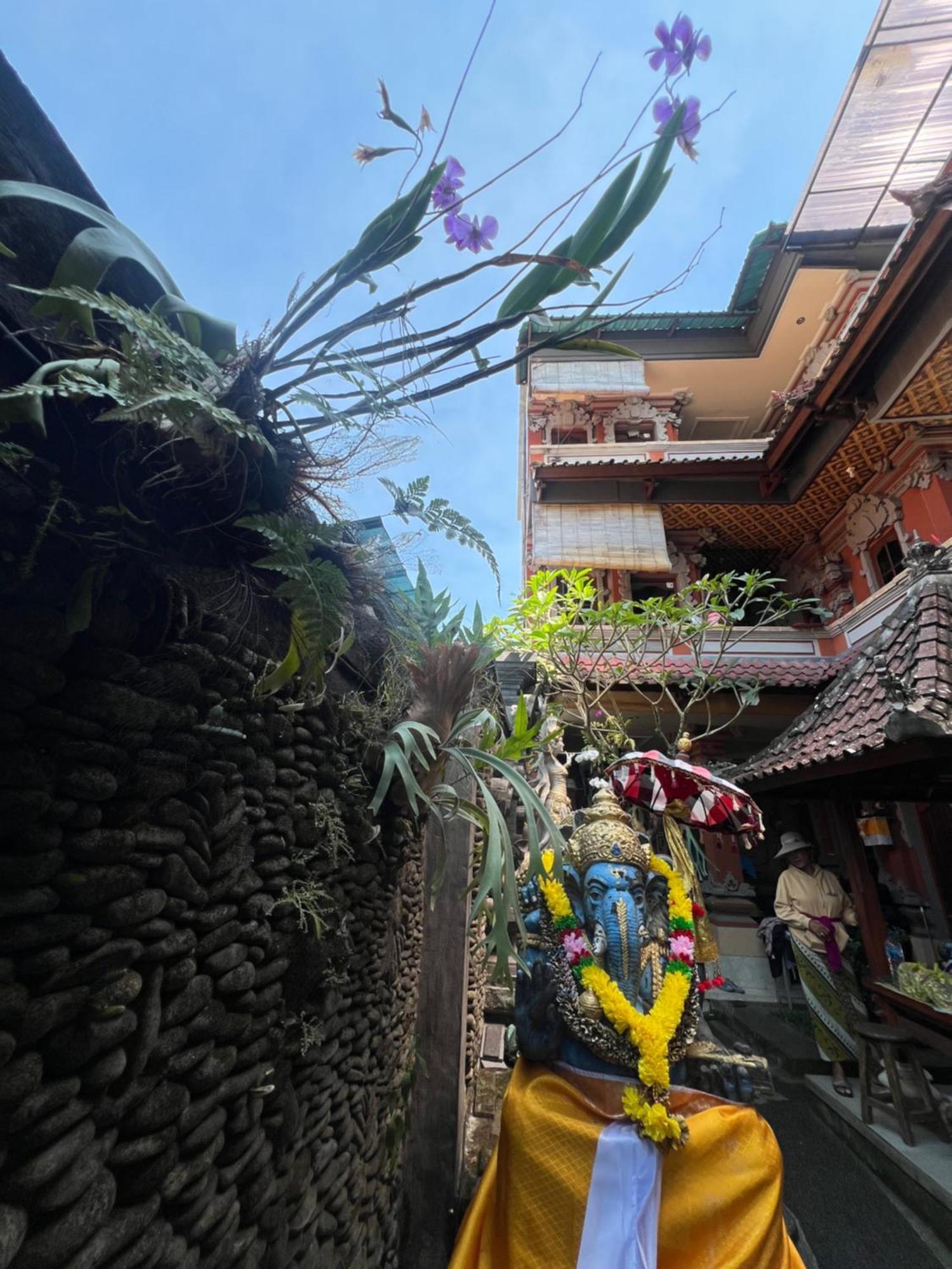 Banana Home Stay Ubud Kültér fotó